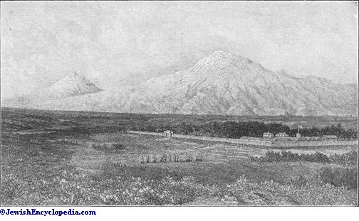 ararat