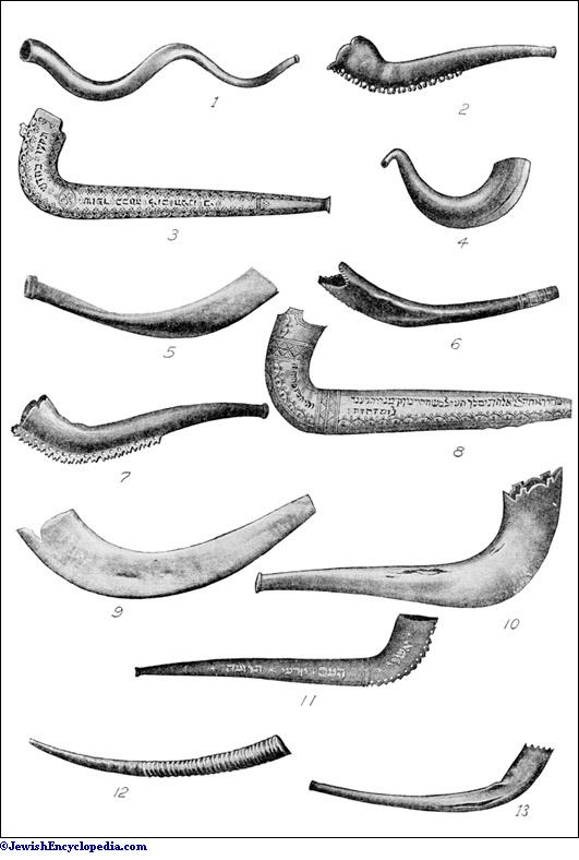 shofar